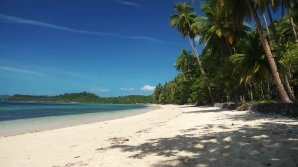 Gyönyörű trópusi tengerpart, a kókusz pálma fák, fehér homokos és kék víz — Stock videók