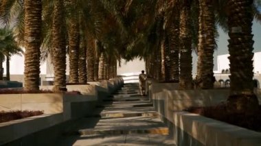 Arap adam Orta Doğu palmiye ağaçları arasında merdivenlerden yukarı gidiyor