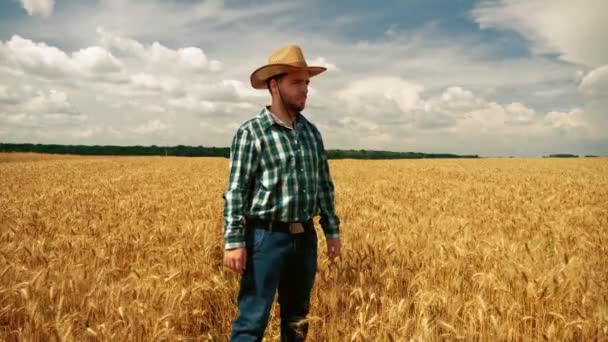 Enojado granjero en la plantación de grano lanzando su sombrero — Vídeos de Stock