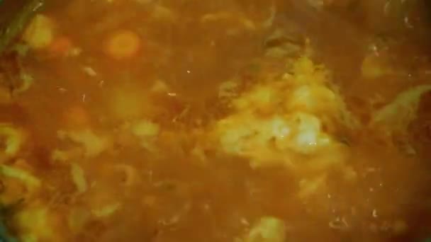 Het toevoegen van lavas aan de kokende soep — Stockvideo