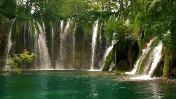 Fantastisk skog vattenfall i slow motion — Stockvideo