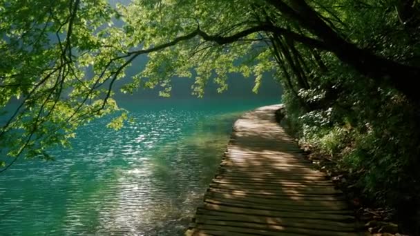 Caminando por un hermoso sendero cerca de un lago azul — Vídeo de stock