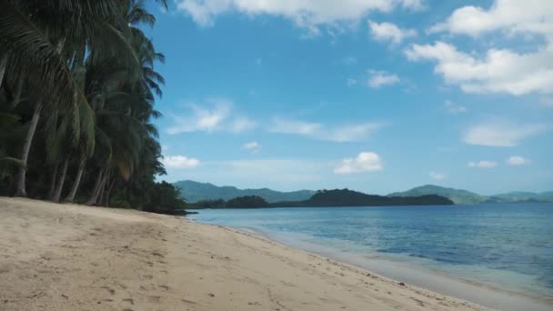 Piękna tropikalna plaża z palmami i złotym piaskiem na Filipinach — Wideo stockowe