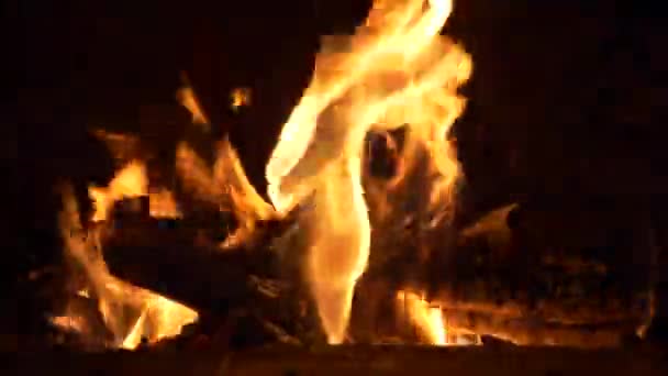 Drewniany Ogień Wewnątrz Pieca Ceglanego Przygotowując Się Pizzy — Wideo stockowe