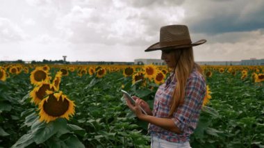 Çiftçi kız güneş çiçek tarlası içine tablet yazarak