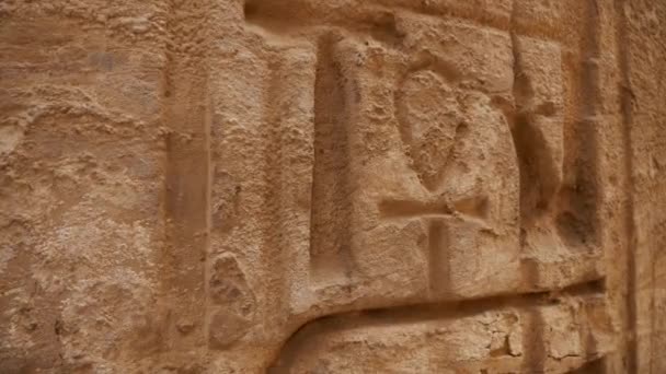 Египетские иероглифы закрывают символ жизни анх — стоковое видео