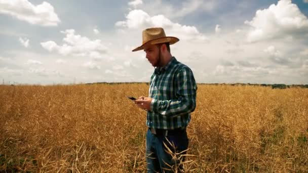 Bonde textning på smarttelefonen i rapsolja plantage — Stockvideo