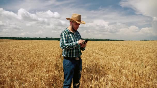 Rolnik przesuwając się po smartfonie do plantacji ziarna — Wideo stockowe