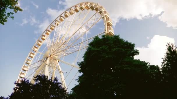 Rueda de hurón grande en el parque — Vídeos de Stock