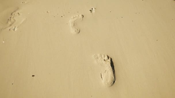 Lábnyomok a sárga trópusi strand megy a tengerbe — Stock videók