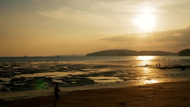 Pessoas correndo e andando na praia ao pôr do sol quando a maré está baixa — Vídeo de Stock