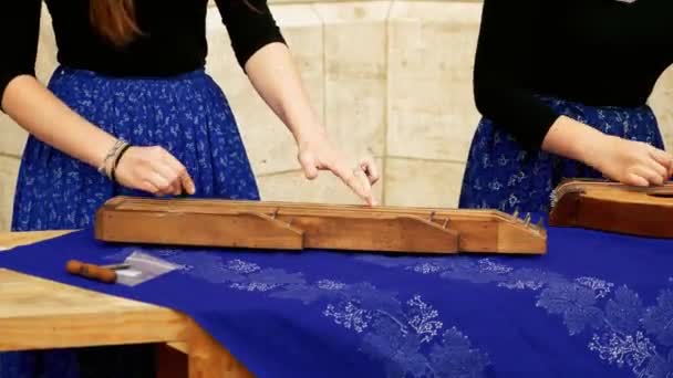 Chicas cantando en instrumentos de acordes magiares tradicionales — Vídeos de Stock