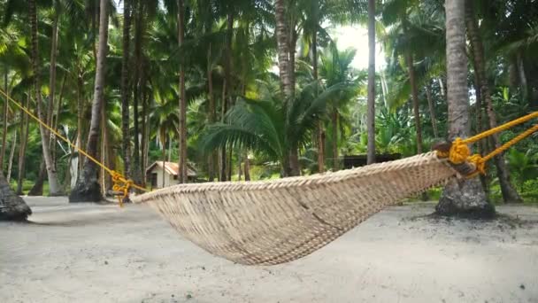 Hamac balançant sous les cocotiers — Video