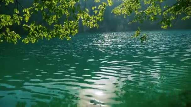 Ochtend zon reflectie in een helder blauw meer water — Stockvideo