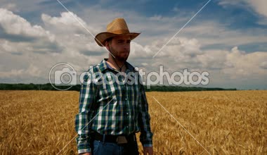 Tahıl tarlasında çok üzücü bir çiftçi