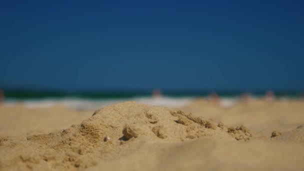 Menschen am Strand — Stockvideo