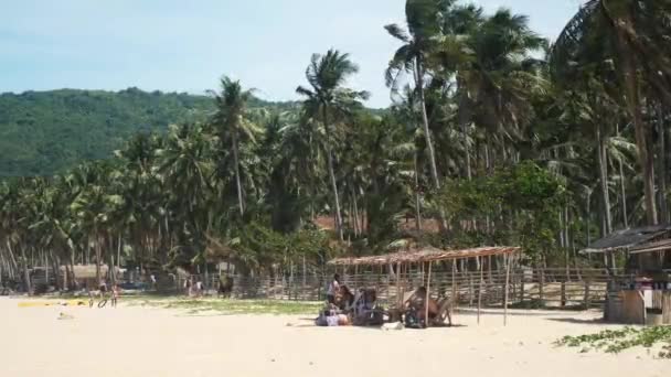 Az emberek pihennek egy gyönyörű trópusi tengerparton, kókuszpálmák — Stock videók