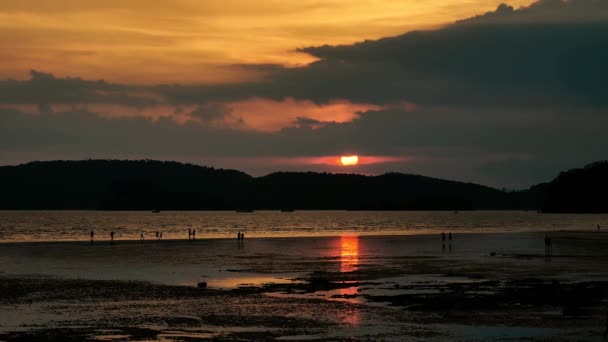 Pessoas andando na praia ao pôr do sol quando a maré está baixa — Vídeo de Stock