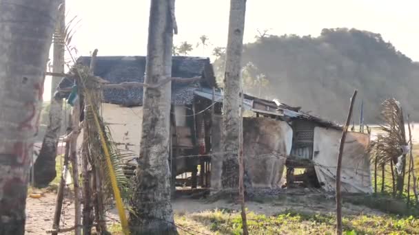 Poor fisherman house near a tropical beach — Stock Video
