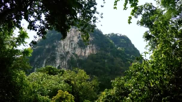 Rio da selva com cachoeira — Vídeo de Stock