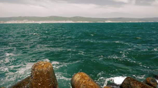 Meeuw vliegen in slow motion boven de zee rotsen — Stockvideo