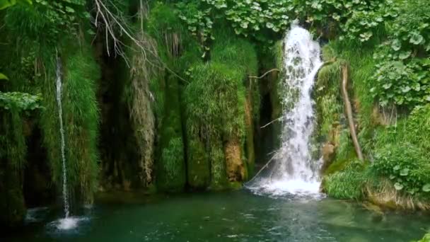Невеликі водоспади і зелений мох — стокове відео