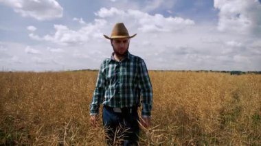 Kanola tarlasında yorgun ve üzücü çiftçi