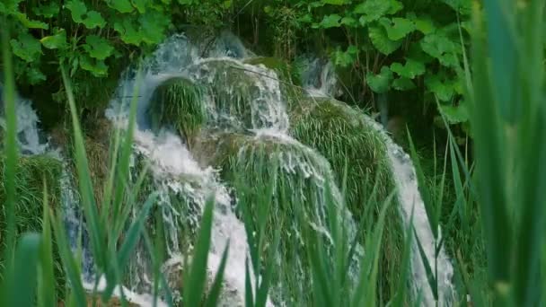 Cachoeira em câmera lenta atrás da grama — Vídeo de Stock