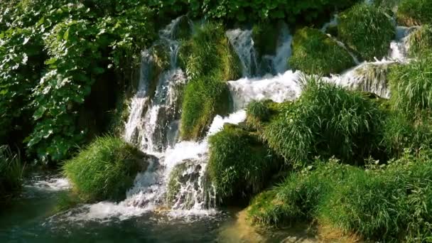 Водопад между зеленой травой в замедленной съемке — стоковое видео