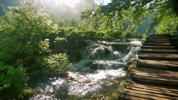 Waterval in de buurt van houten pad in slow motion — Stockvideo