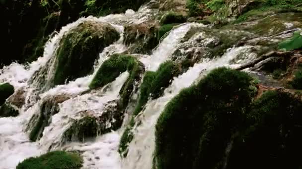 Водопад на зеленом мху в замедленной съемке — стоковое видео