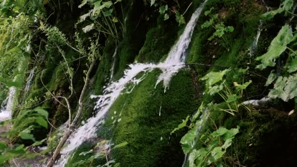 Wasserfall auf grünem Moos in Zeitlupe — Stockvideo