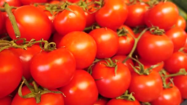 Ένας σωρός από βιολογικές φρέσκες ντομάτες κλείνουν — Αρχείο Βίντεο