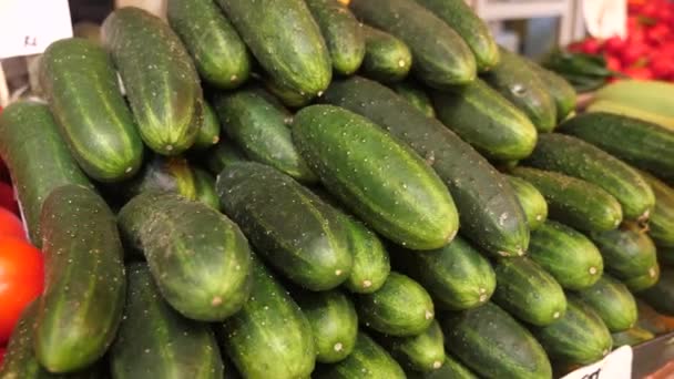 A pile of organic fresh cucumbers at the market — Stock Video