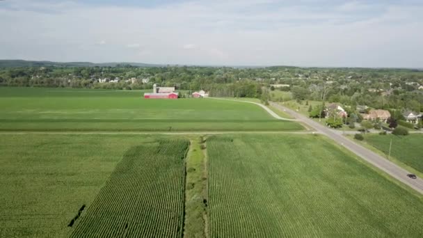 Pemandangan udara dari area perumahan kota 4k — Stok Video