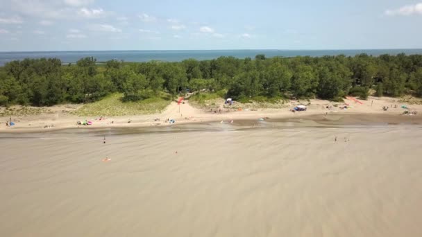 Erie Gölü, plaj ve fırtına sonra bulanık su. Havadan görünümü. 4k — Stok video