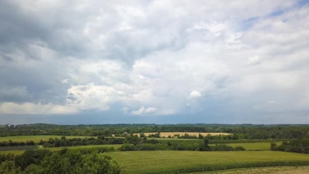 Beatifull füves területen, ország nyári sötét, viharos felhők háttér — Stock videók