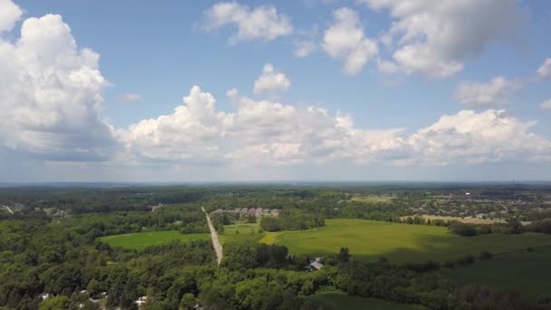 Göz kamaştırıcı olsun çimen, alan ve orman, ülke yaz bulutlar arka plan — Stok video