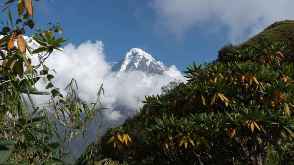 Nepal, Annapurna. Mardi Himal trek.