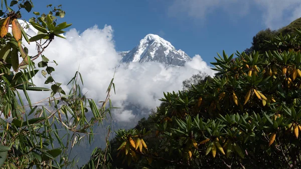 Nepal, Annapurna. Mardi Himal trek.