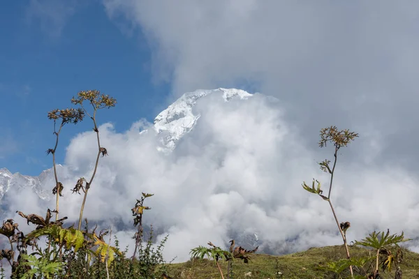 Nepal, Annapurna. Mardi Himal trek.
