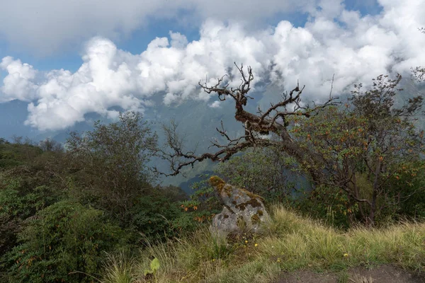 Nepal, Annapurna. Mardi Himal trek.