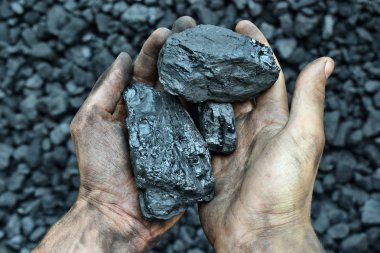 İşçi mayın ellerinde kömür. Resim kullanmak için kömür madencilik hakkında fikir olabilir enerji kaynağı veya çevre koruma.