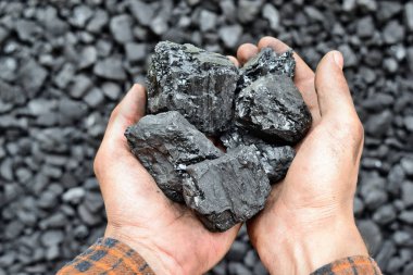 İşçi mayın ellerinde kömür. Resim kullanmak için kömür madencilik hakkında fikir olabilir enerji kaynağı veya çevre koruma.