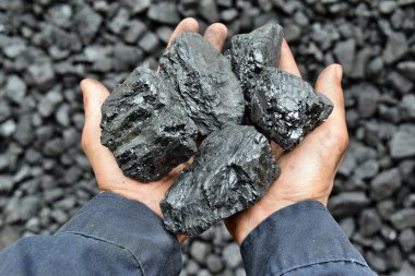 İşçi mayın ellerinde kömür. Resim kullanmak için kömür madencilik hakkında fikir olabilir enerji kaynağı veya çevre koruma.