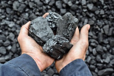 İşçi mayın ellerinde kömür. Resim kullanmak için kömür madencilik hakkında fikir olabilir enerji kaynağı veya çevre koruma.