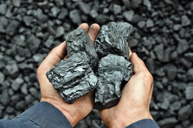 İşçi mayın ellerinde kömür. Resim kullanmak için kömür madencilik hakkında fikir olabilir enerji kaynağı veya çevre koruma.