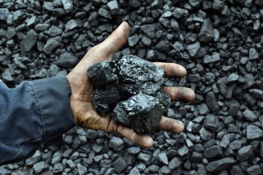 İşçi madenci elinde kömür. Resim kullanmak için kömür madencilik hakkında fikir olabilir enerji kaynağı veya çevre koruma.