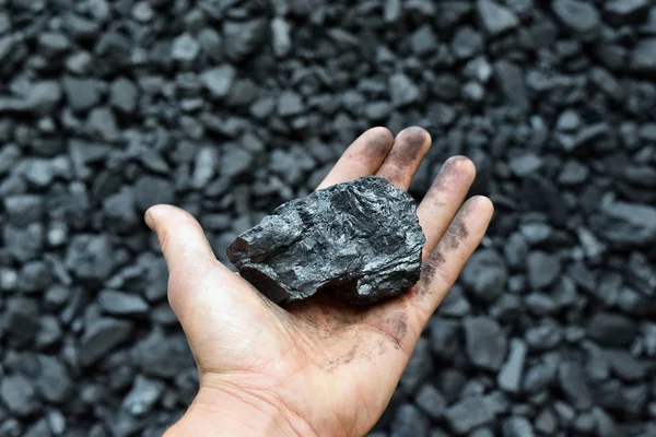 Hand Miner Shows Coal Mine Picture Can Use Idea Coal — Stock Photo, Image