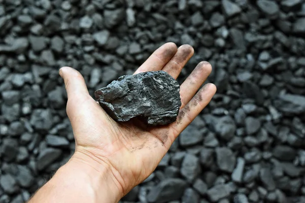 Hand Miner Shows Coal Mine Picture Can Use Idea Coal — Stock Photo, Image